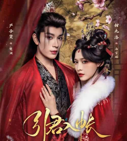 引君入帐（66集全）严子贤＆甜九洛-紫橙网创项目网