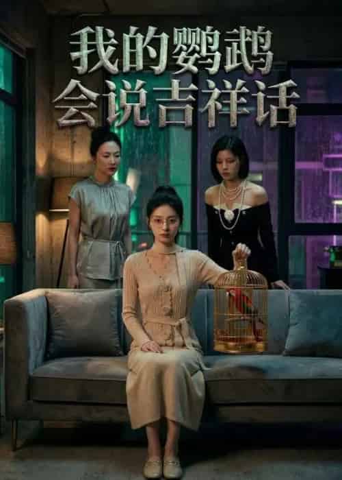 我的鹦鹉会说吉祥话(52集全)AI-紫橙网创项目网