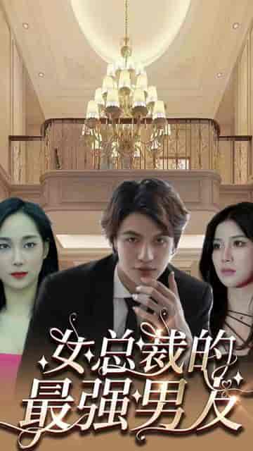 风雪满江红＆女总裁的上门女婿（104集） - 紫橙阁短剧