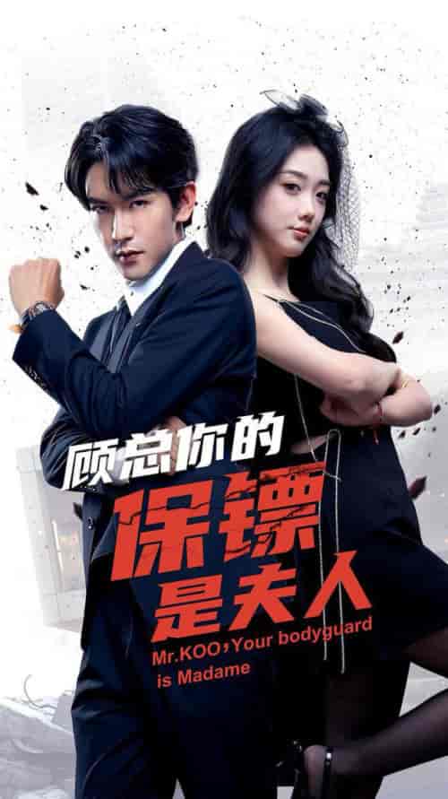 顾总你的保镖是夫人（54集全）沈照程＆墨凝 - 紫橙阁短剧
