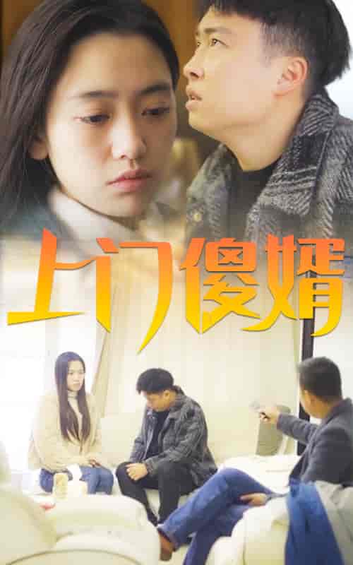 上门傻婿-164 - 紫橙阁短剧