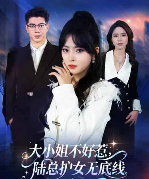 大小姐不好惹,陆总护女无底线(60集全)刘碑歌&王美淇-紫橙网创项目网