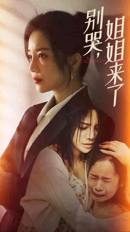 别哭，姐姐来了（60集） - 紫橙阁短剧