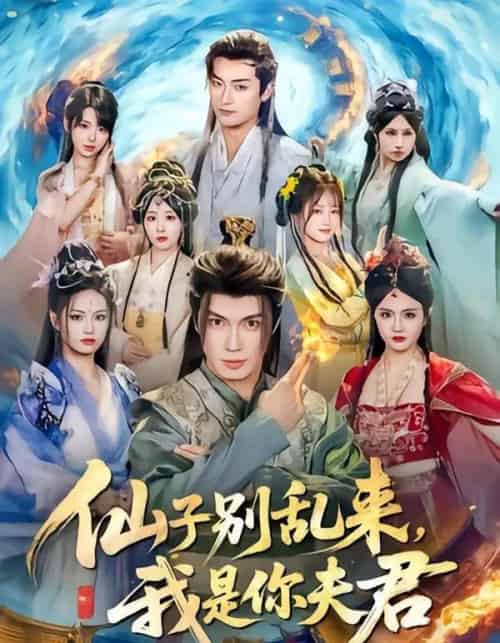 仙子别乱来,我是你夫君(75集全)郑凯义&倪艺菲-紫橙网创项目网