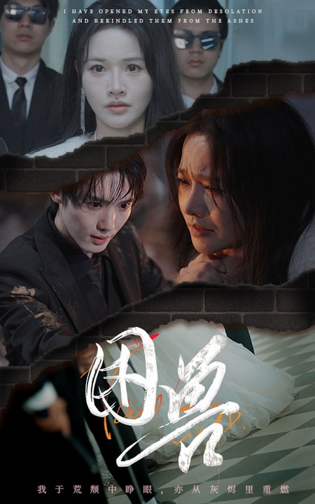 困兽（31集全）曹千祎 - 紫橙阁短剧
