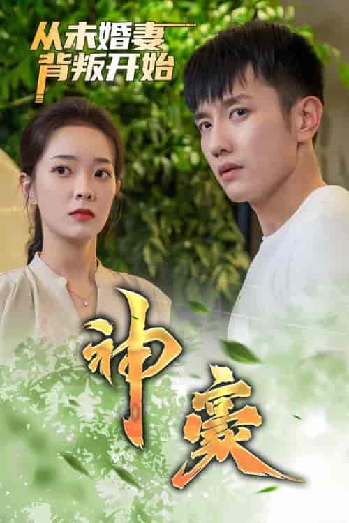 神豪从未婚妻背叛开始（99集） - 紫橙阁短剧