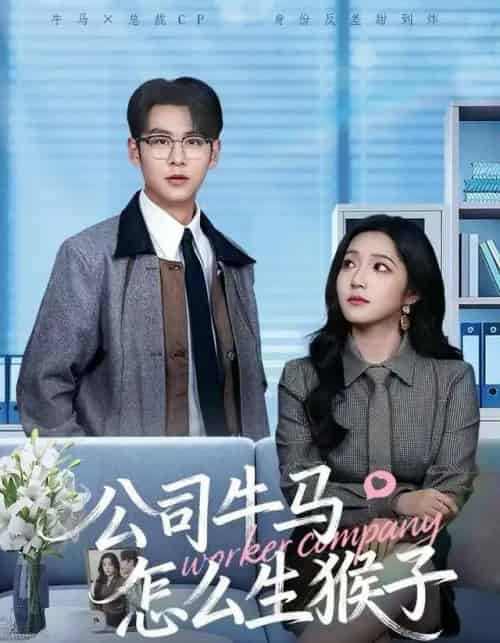 公司牛马怎么生猴子(80集全)阚梓艺&孔德瑞-紫橙网创项目网