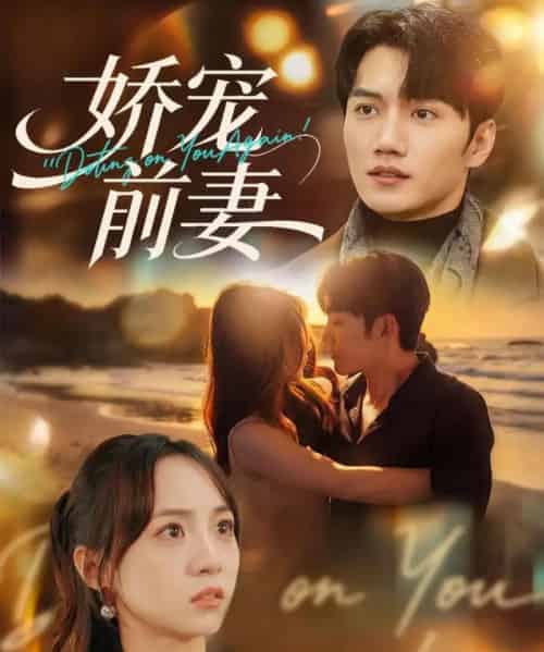 娇宠前妻(72集全)金佳遇&张楸梓-紫橙网创项目网