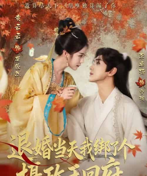 退婚当天我绑了个摄政王回府（63集全）李卓扬＆黄云云-紫橙网创项目网
