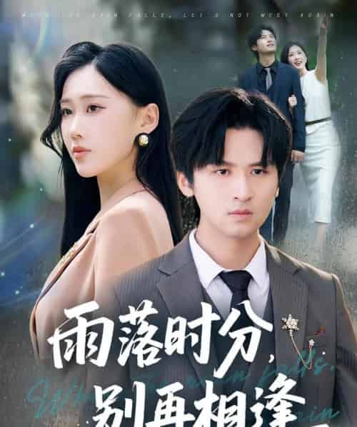 雨落时分别再相逢(70集)鞠琳&王廉栋-紫橙网创项目网