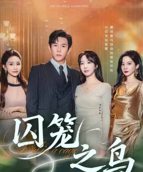 囚笼之鸟（52集全）程澄＆彭丹丹（彭呆呆）-紫橙网创项目网