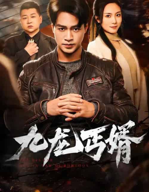 九龙丐婿（81集全）鄢子纶＆苏寰-紫橙网创项目网