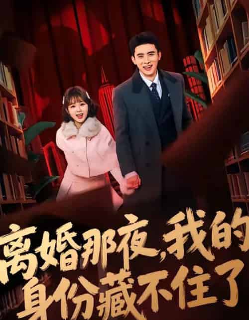 离婚那夜，我的身份藏不住了（66集全）姚晶乐＆刘渝展-紫橙网创项目网