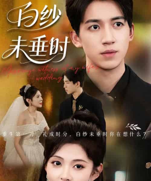 老婆婚礼我当证婚人＆白纱未垂时（54集）钟煜霖＆陆碧霄 - 紫橙阁短剧