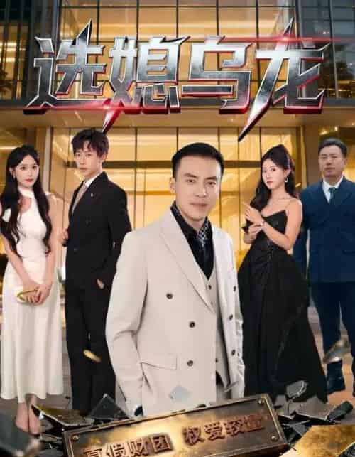 选媳乌龙 选媳乌龙