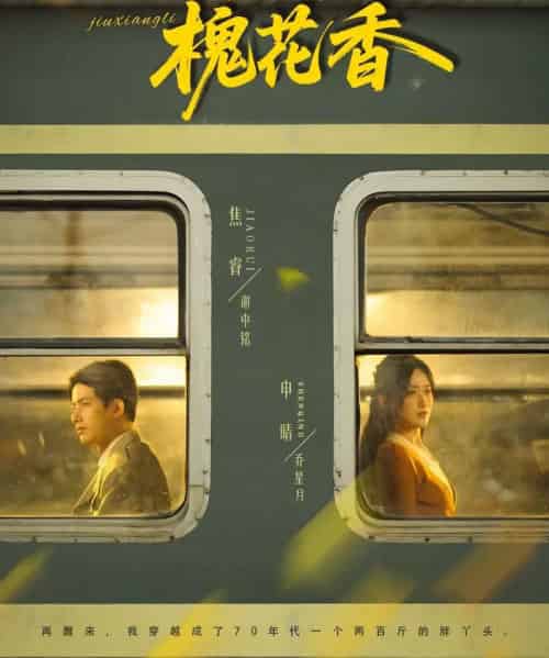 旧时光里槐花香（70集全）申晴＆焦睿 - 紫橙阁短剧