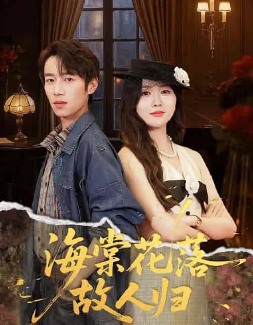 海棠花落故人归（78集全）霍豆豆＆白家宁-紫橙网创项目网