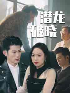 潜龙破晓（88集全） - 紫橙阁短剧