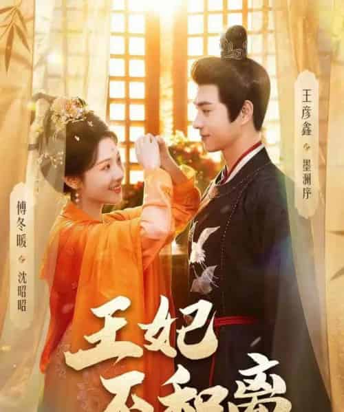 王妃不和离(80集全)王彦鑫&傅冬暖-紫橙网创项目网