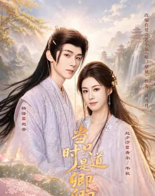 当时只道是卿卿（60集全）杨泽＆赵夕汐-紫橙网创项目网