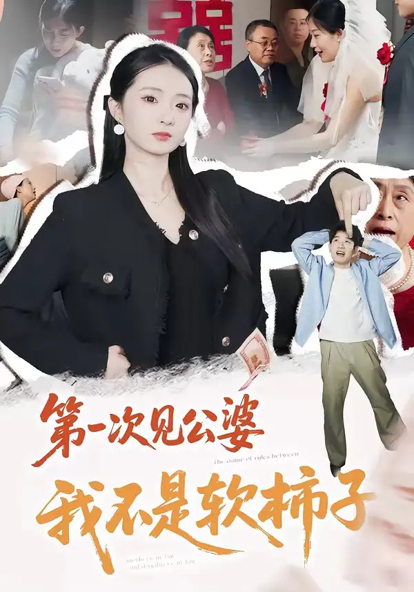 第一次见公婆我不是软柿子(50集)刘子豪&王誉洁-紫橙网创项目网