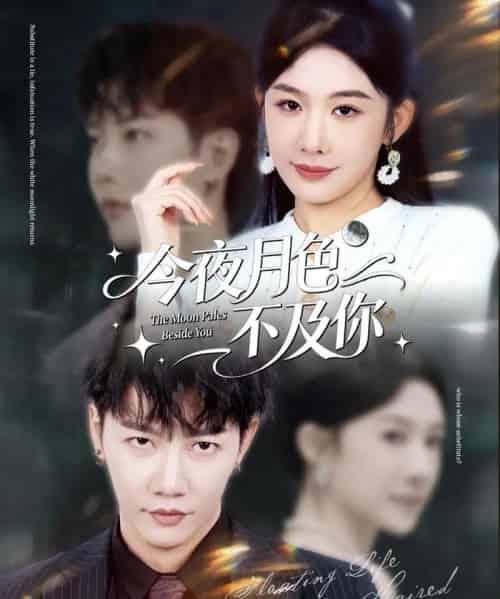 今夜月色不及你（62集全）成乔斯＆牛湘鹭-紫橙网创项目网