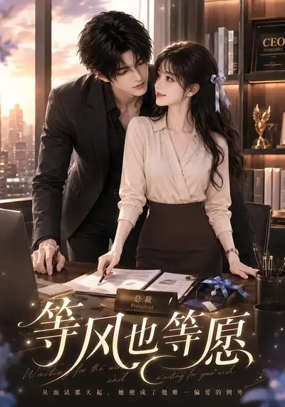 等风也等愿（52集）-紫橙网创项目网