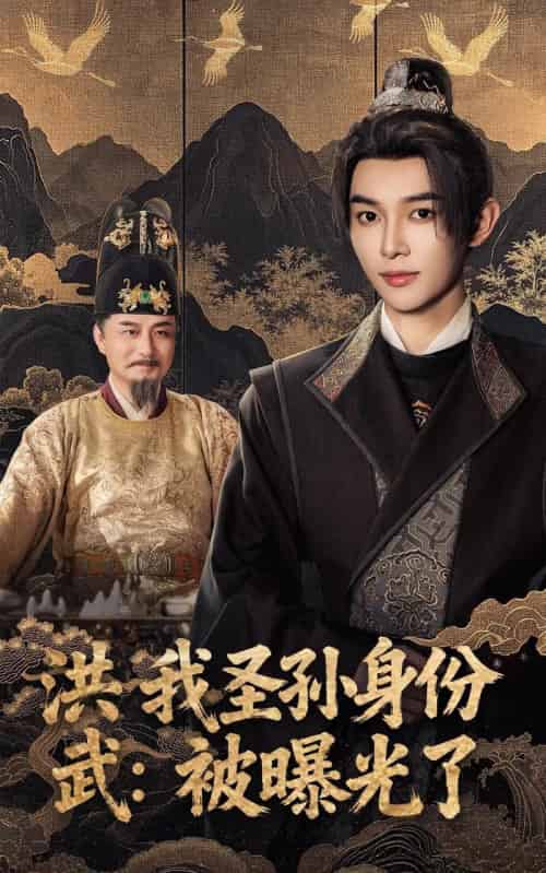 洪武我圣孙身份被曝光了（75集全）姜晨＆丁正勇-紫橙网创项目网