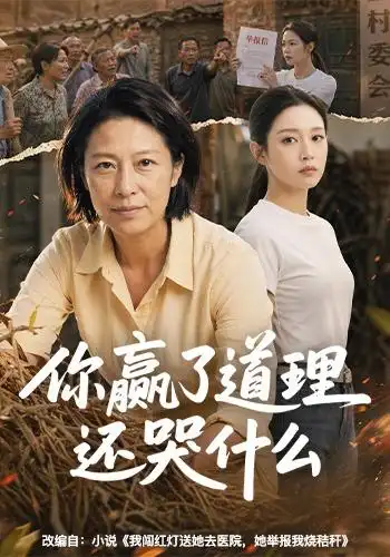 你赢了道理还哭什么(59集)AI短剧-紫橙网创项目网