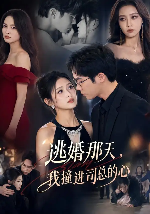 逃婚那天我撞进司总的心(61集)余容&张予晴-紫橙网创项目网