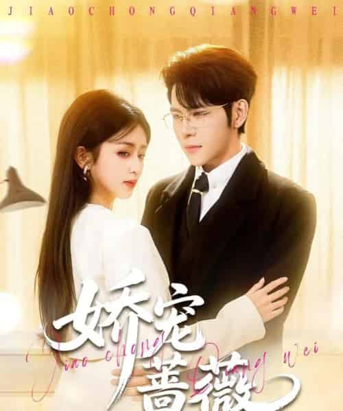 娇宠蔷薇 娇宠蔷薇