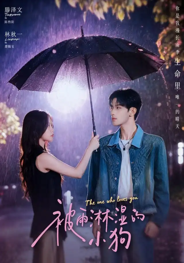 被雨淋湿的小狗(80集)林秋一&滕泽文(1080P)-紫橙网创项目网