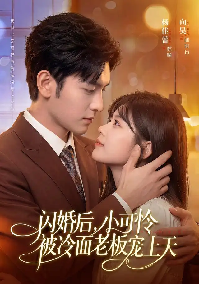 闪婚后小可怜被冷面老板宠上天(87集)杨佳蕾&向昊(1080P)-紫橙网创项目网