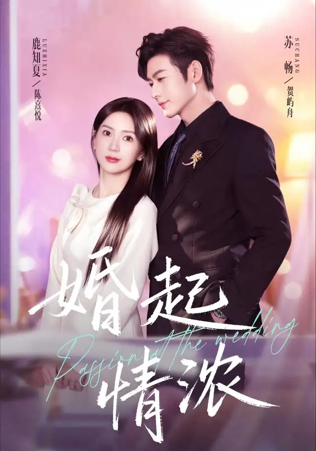婚起情浓（99集）苏畅＆鹿知夏（1080P）-紫橙网创项目网