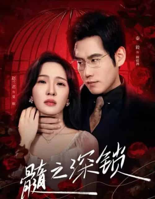 髓之深锁（84集全）赵兰君＆秦毅-紫橙网创项目网