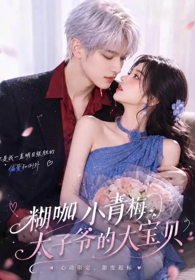 糊咖小青梅太子爷的大宝贝（50集）-紫橙网创项目网