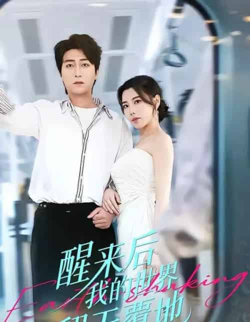 醒来后我的世界翻天覆地(83集全)李云鹏&陈汶汐-紫橙网创项目网