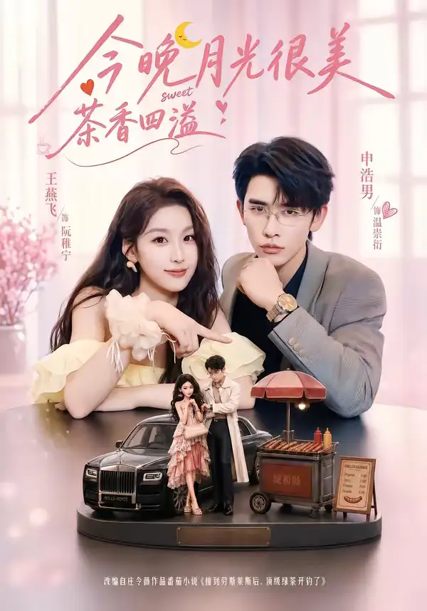 今晚月光很美茶香四溢(69集)申浩男&王燕飞(1080P)-紫橙网创项目网