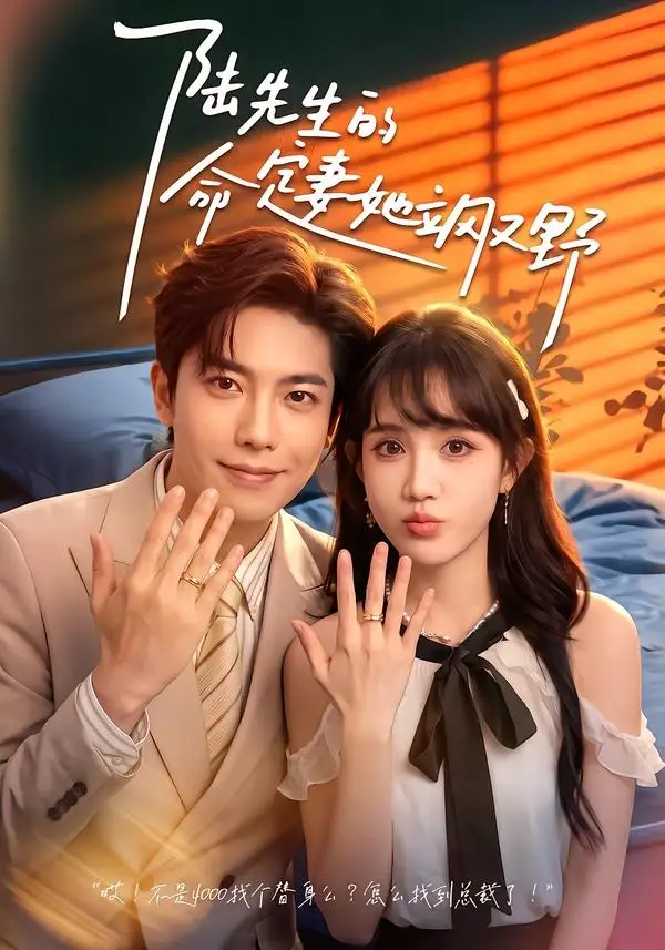 陆先生的命定妻她飒又野(60集)成梓宁&毛心童-紫橙网创项目网