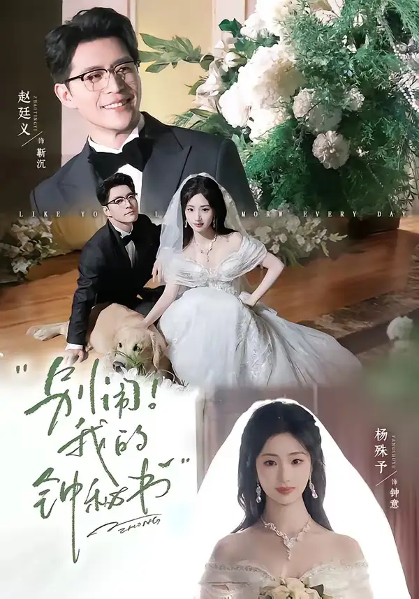 别闹我的钟秘书（84集）杨殊予＆赵廷义（1080P）-紫橙网创项目网