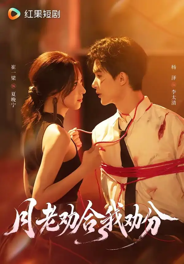 月老劝合我劝分（69集）杨泽＆崔一梁（1080P）-紫橙网创项目网