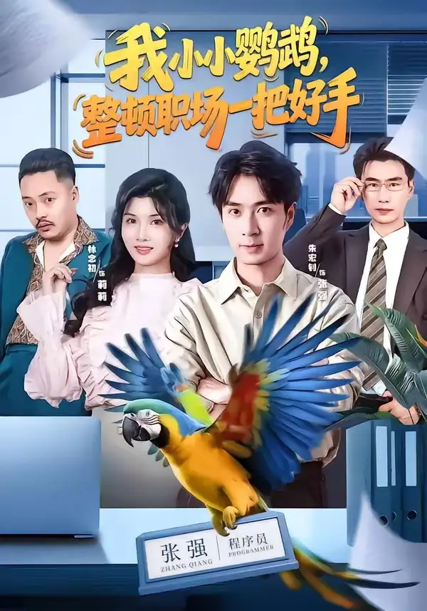 我小小鹦鹉整顿职场一把好手(62集)朱宏钊&林念初&周伟&负辰鑫-紫橙网创项目网