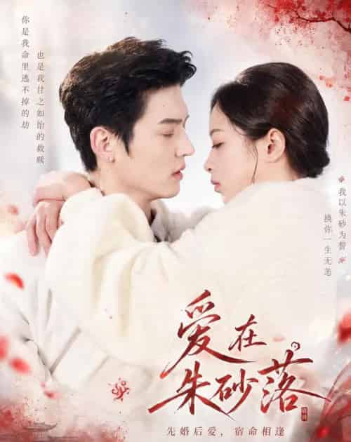 爱在朱砂落（40集全）高政＆邓漫仪-紫橙网创项目网