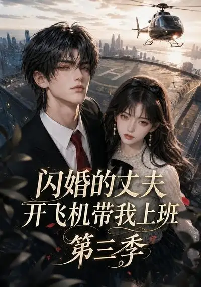 闪婚的丈夫开飞机带我上班第三季 闪婚的丈夫开飞机带我上班第三季