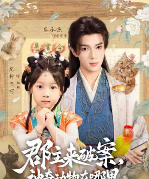 郡主来破案神奇动物在哪里(69集)蔡承源&龙轩可可-紫橙网创项目网