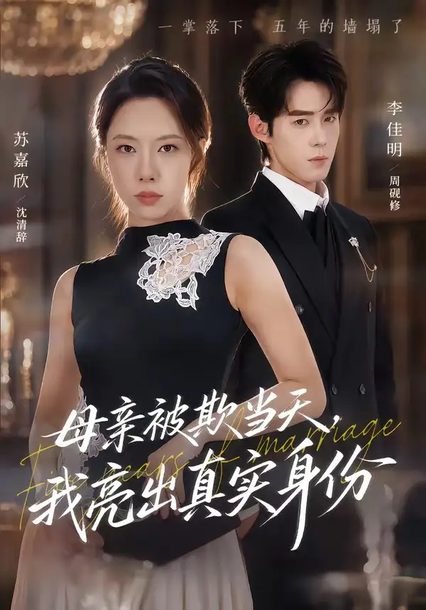 母亲被欺当天我亮出真实身份(63集)苏嘉欣&李佳明-紫橙网创项目网