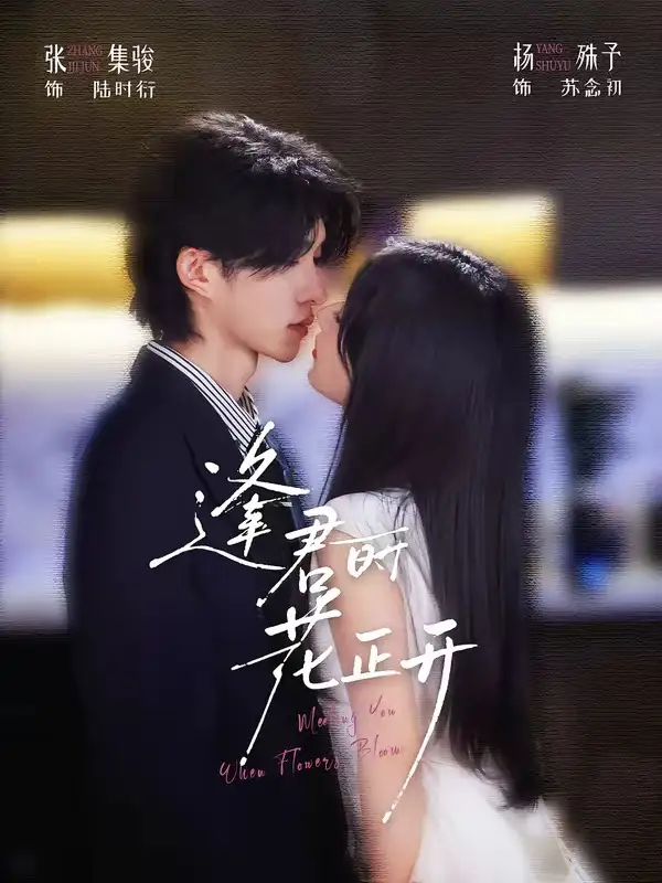 逢君时花正开(72集)张集骏&杨殊予(1080P)-紫橙网创项目网