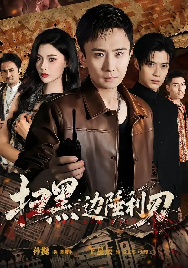 扫黑边陲利刃(73集)孙樾&王星辰(1080P)-紫橙网创项目网