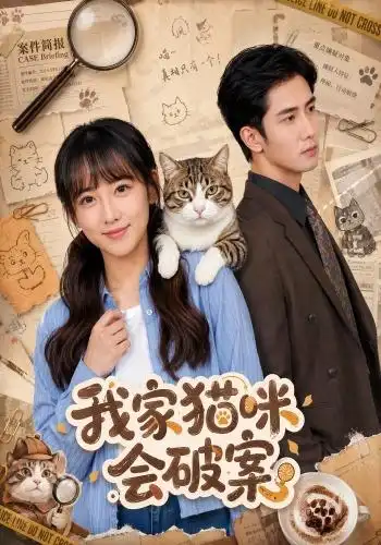 我家猫咪会破案(88集)顾书齐&柳贯一-紫橙网创项目网