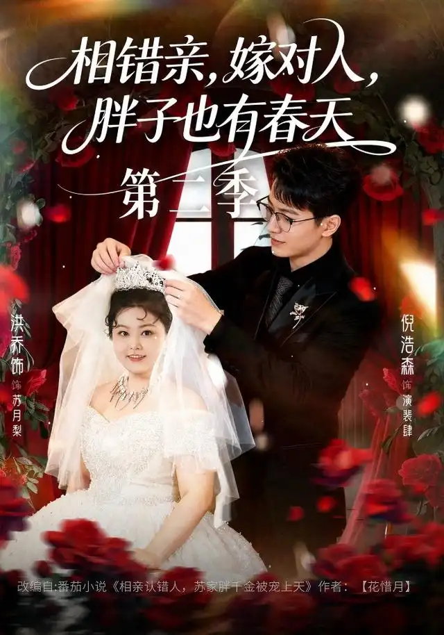 相错亲嫁对人，胖子也有春天第二季（82集）倪浩森＆洪乔（1080P）-紫橙网创项目网